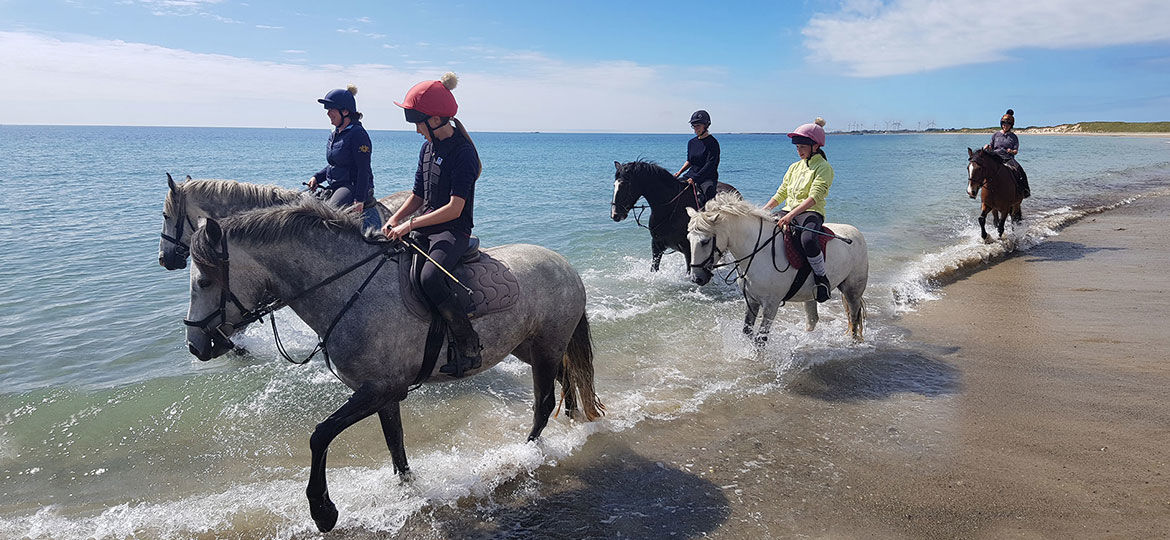 Horses and riders on beach trek Wexford Ireland