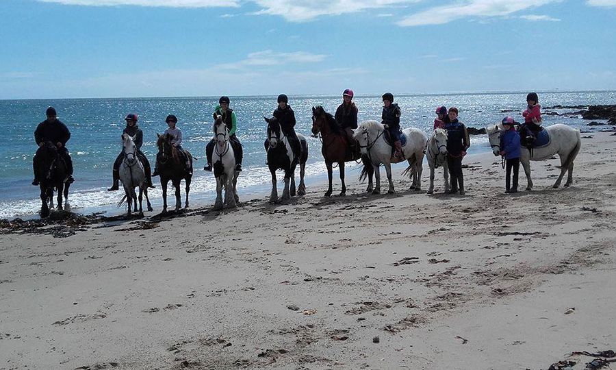 horses and ponies with riders on the beach
