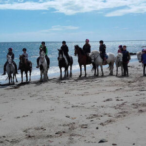 horses and ponies with riders on the beach