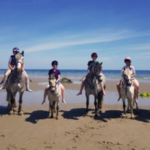 happy riders and ponies at the beach