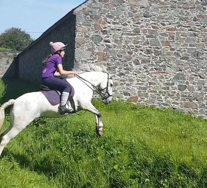 horse jumping over the ditch Hazelwood Stables