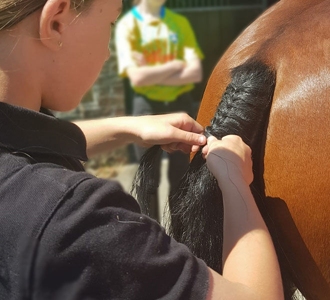 horse tail plait at pony camp Hazelwood Stables