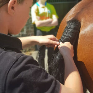horse tail plait at pony camp Hazelwood Stables