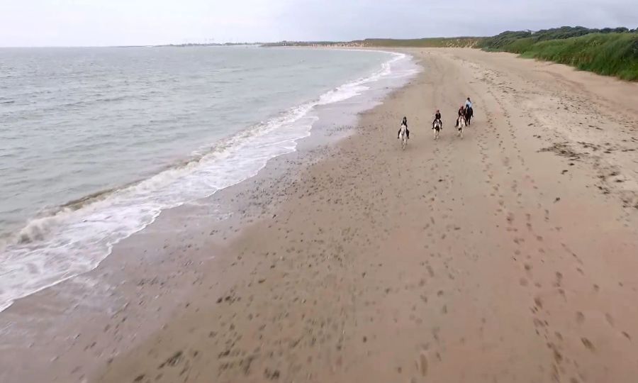 horseback riding on the beach South East of Ireland