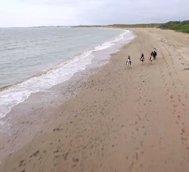 horseback riding on the beach South East of Ireland