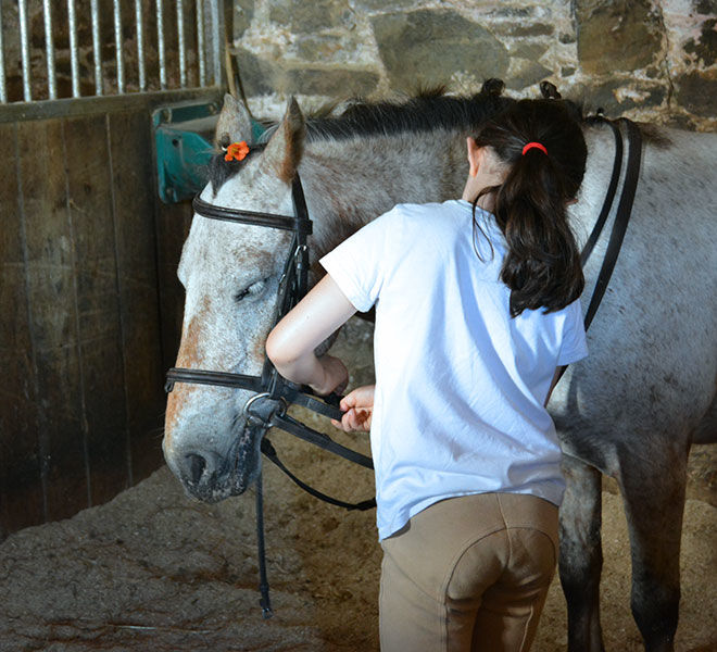 Pony-camp-hazelwood-stables-10