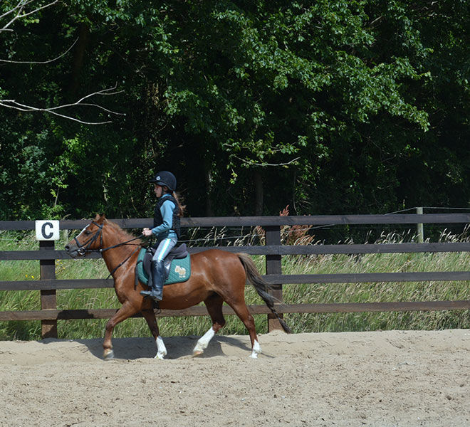 Pony-camp-hazelwood-stables-12