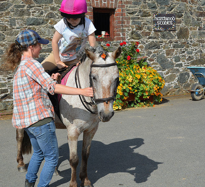 horse riding lesson for kids