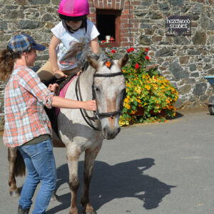 horse riding lesson for kids