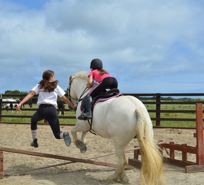 riding lesson - jumping