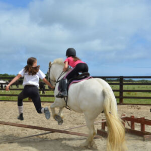 riding lesson - jumping