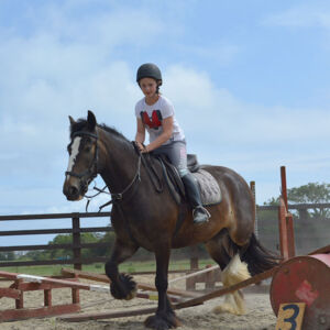 horse riding lessons for kids
