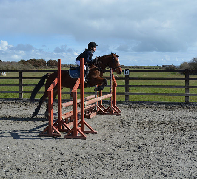 horse riding - jumping lesson