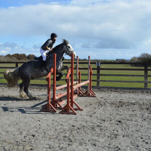 horse riding lessons-jumping