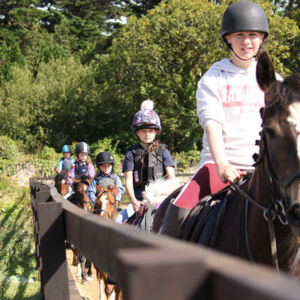 horse-riding-lesson-hazelwood-stables-6